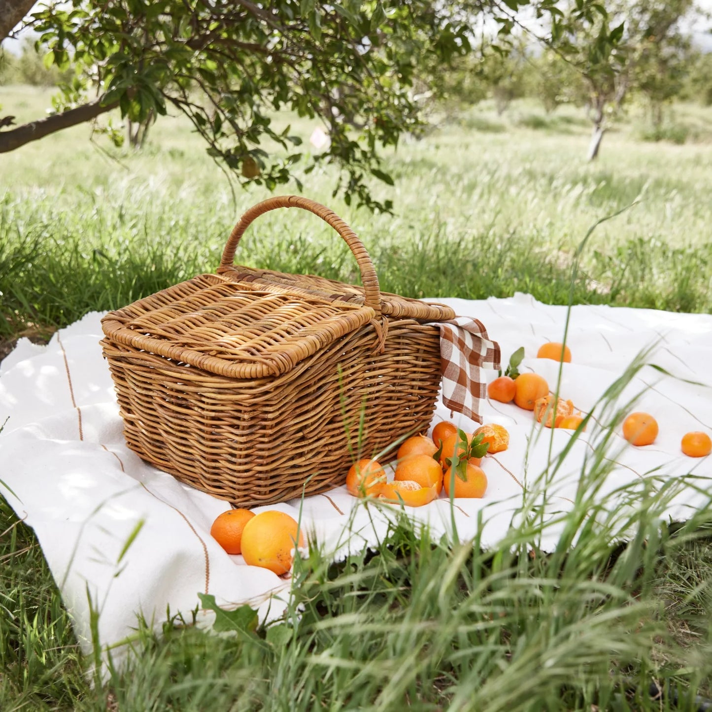Hudson Woven Picnic Basket - Natural