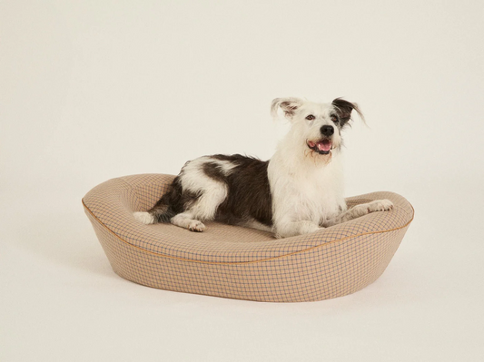 Timeless Dog Bed